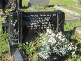 image of grave number 393329